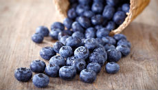 Blueberry Paleo Vegan Yogurt Photo
